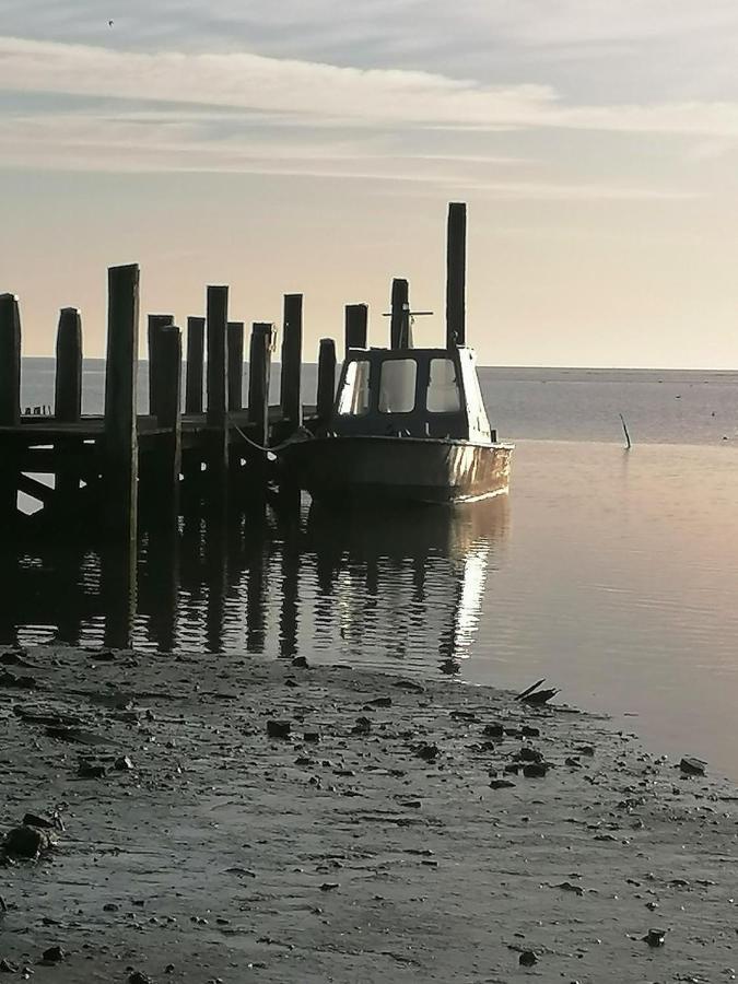 مبيت وإفطار دي كوكْسدوربْ Dock10Texel المظهر الخارجي الصورة